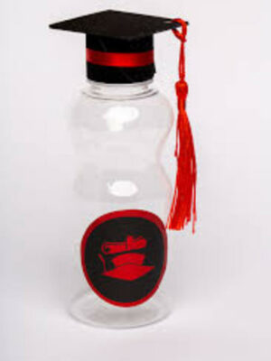 Bouteilles de jus