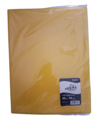 Porte document 300vues / 150 pockets Tramix ideal